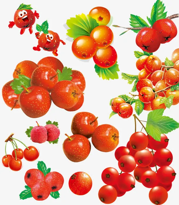 卡通山楂免抠