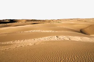 黄色沙漠免抠