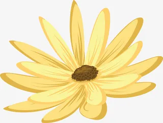 黄色春天美丽波斯菊免抠