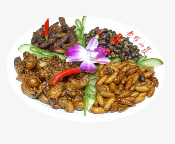 特色山珍*蚕蛹蝉蛹免抠