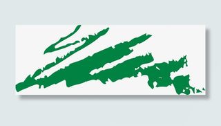 绿色矢量不规则笔刷图免抠