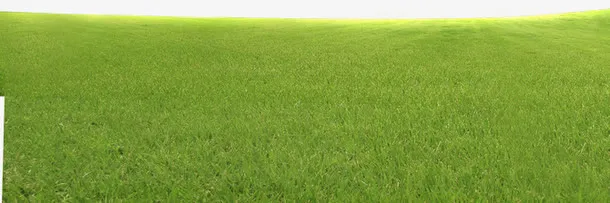 一片草地免抠