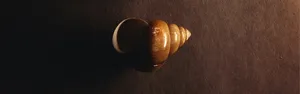 螺丝壳高清