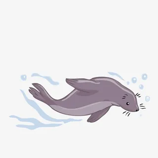 手绘海豹免抠