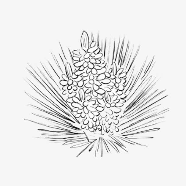 手绘松花免抠