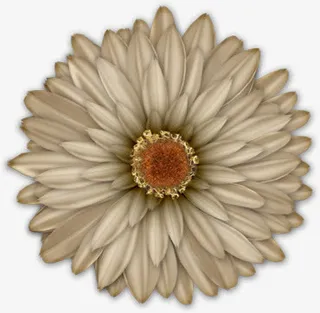 抽象花朵素材唯美免抠