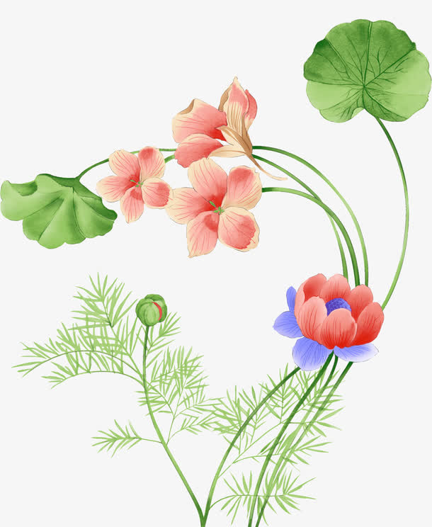 卡通可爱荷花免抠手绘/卡通卡通元素