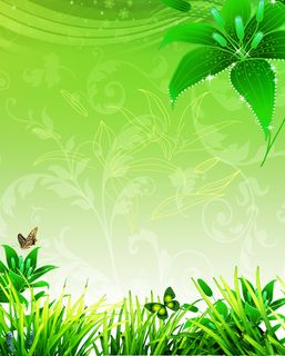 绿色背景素材高清 绿色背景素材高清