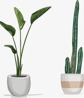 手绘盆栽免抠 手绘盆栽免抠