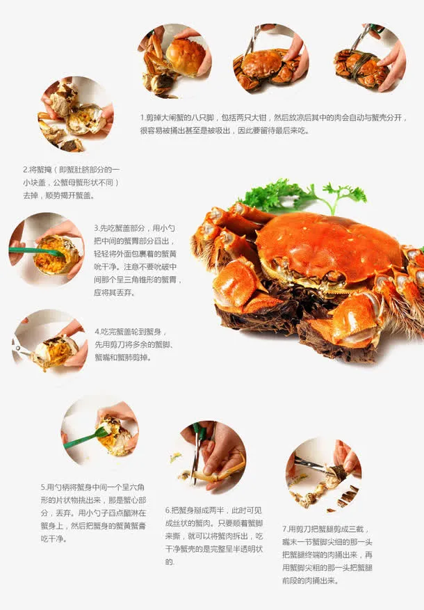 大闸蟹详情页图片免抠