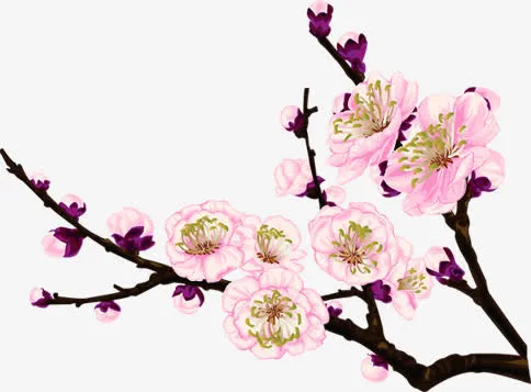 中秋节促销粉色花朵免抠