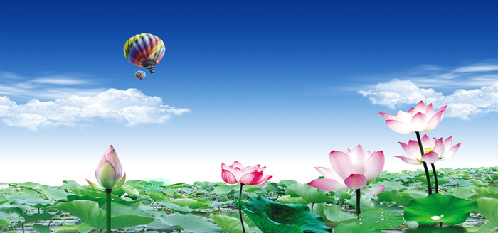 热气球荷塘背景高清