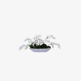 欧美流行插花 绿植物 鲜花软装免抠