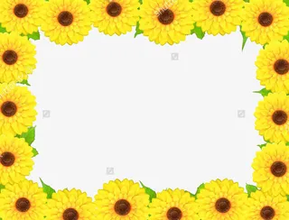 黄色花边框免抠