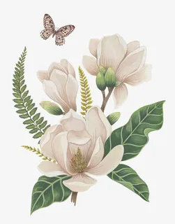 手绘白色花朵绿叶蝴蝶免抠动植物植物元素 手绘白色花朵绿叶蝴蝶免抠动植物植物元素