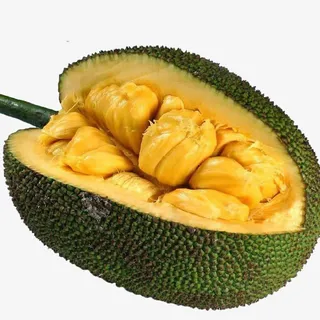 海南三亚菠萝蜜肉免抠