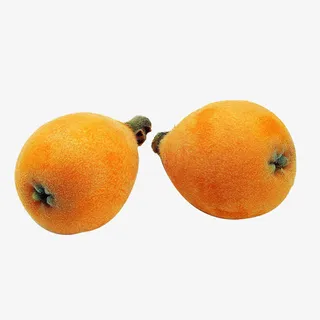 枇杷图片素材下载免抠