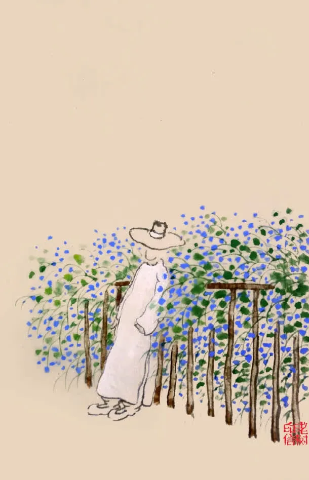 纯色背景图片高清矢量背景