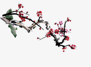 梅花免抠