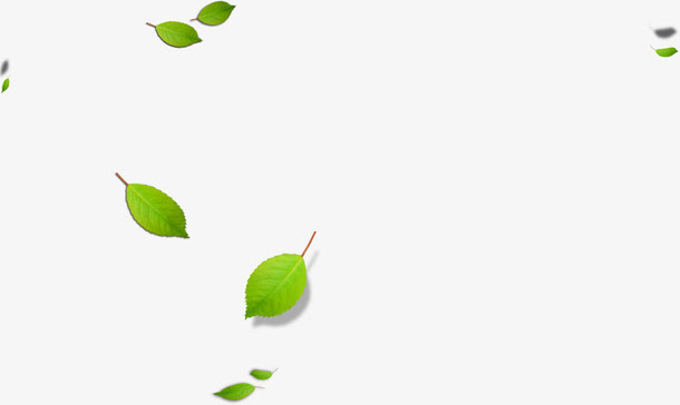 绿色漂浮清新树叶纹理免抠