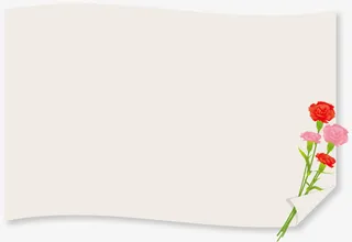 母亲节康乃馨花束白纸免抠