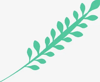 春天卡通绿色叶子免抠