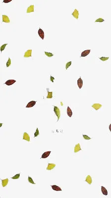 冬天的落叶免抠
