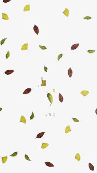 冬天的落叶免抠