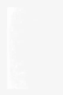 圣诞节的白色雪花免抠节日圣诞节元素