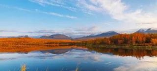 秋冬蓝天红树林湖泊海报banner高清
