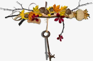 秋天的树叶免抠