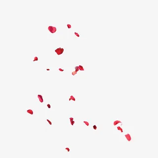 情人节花瓣免抠