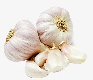 大蒜子大蒜果免抠