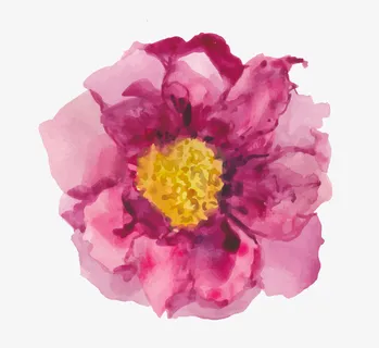 手绘元素创意水彩元素免抠