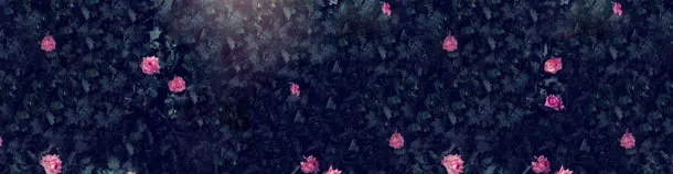 唯美banner背景图