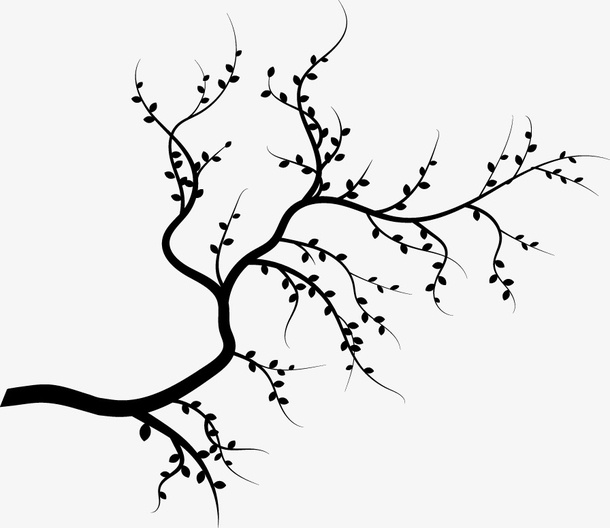 树枝免抠