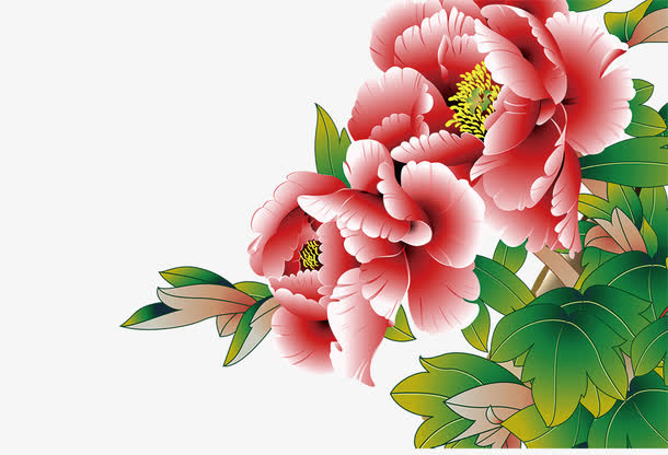 手绘牡丹花素材图片免抠