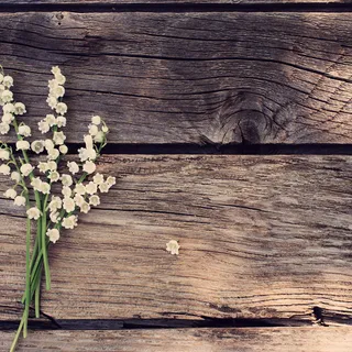 花枝木板纹理背景图高清