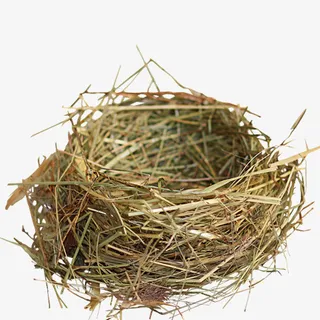 鸟窝，草，自然，装饰-1免抠