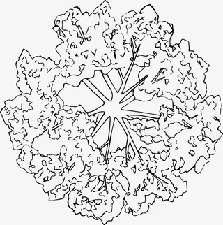 树木树枝树冠黑白风手绘线稿平面免抠