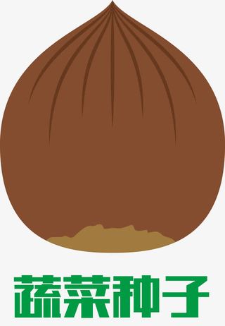 卡通种子发芽过程免抠