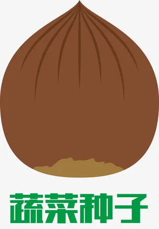 卡通种子发芽过程免抠