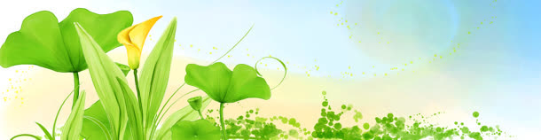 清新背景banner