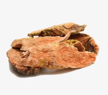 高清红景天特写免抠