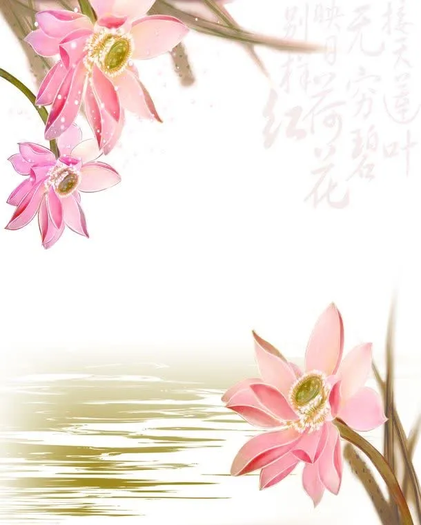 莲花湖泊背景