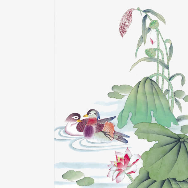 鸳鸯戏水免抠