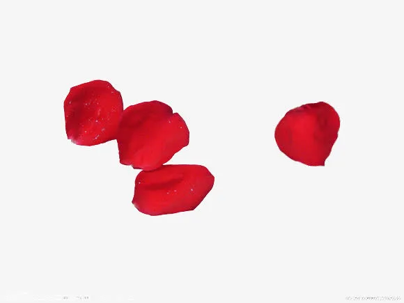 四篇红色花瓣免抠