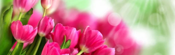 banner 淘宝 天猫 背景高清