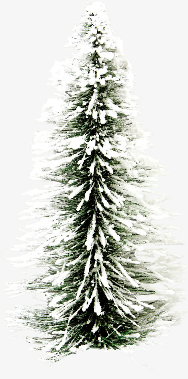 带积雪的绿色松树免抠