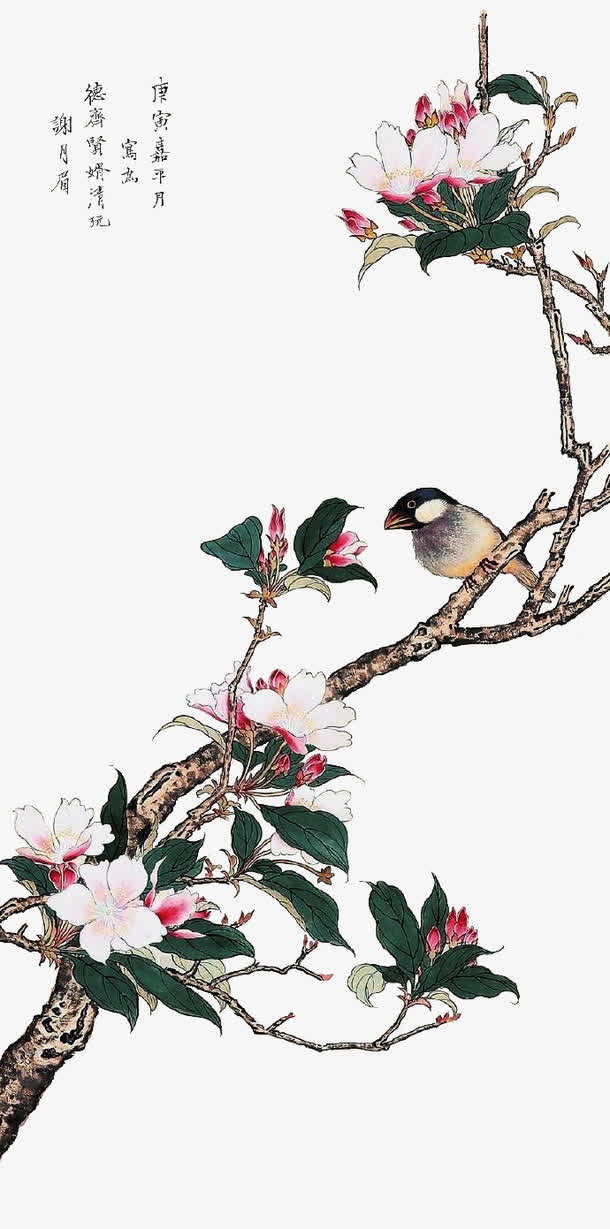 手绘枝头小鸟免抠